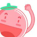 番茄英语 v4.2.5 安卓版
