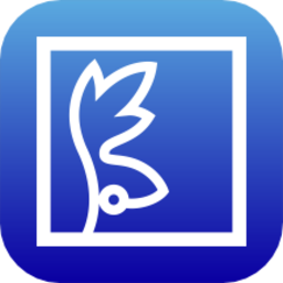 崎立home官方版 v1.0.2 安卓版