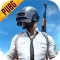 betapubgmobile国际服体验服 v3.6.2 国际服测试版