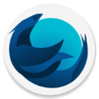 Iceraven浏览器官方版 v2.37.0安卓版