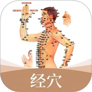 经络穴位标准指南 v1.5 安卓版