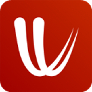 windy气象软件安卓版(风力图和天气预报) v48.0.3 官方版