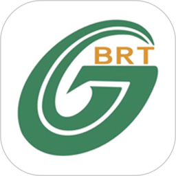 善国行BRT v1.0.0 最新版