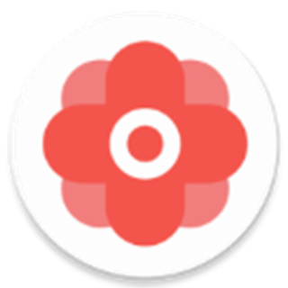 华为手机gms谷歌框架安装器 v22.7.95安卓版