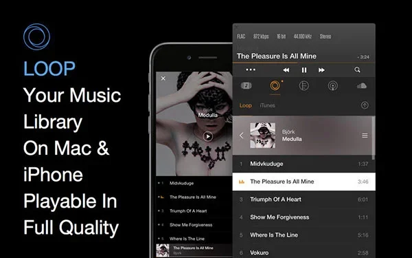 Vox for mac 截图 2