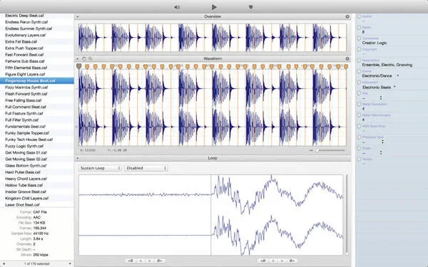 Loop Editor for mac 截图 1