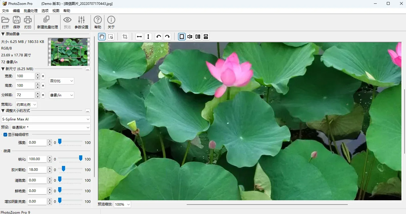 PhotoZoom Pro Mac版 截图 3