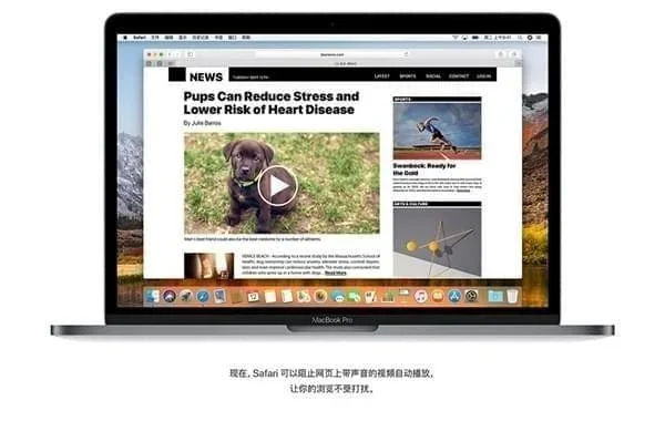 macOS 10.13 截图 2