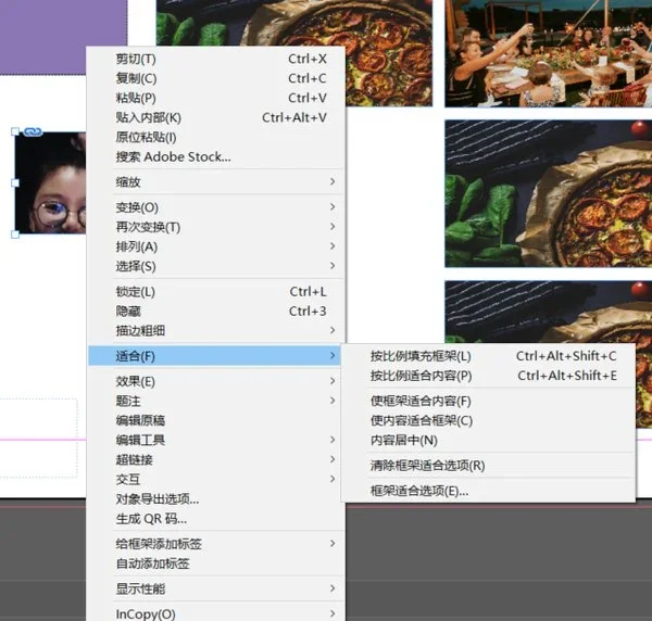 Adobe InDesign 截图 3