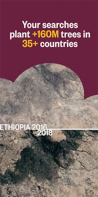 ecosia浏览器官方版 截图 2