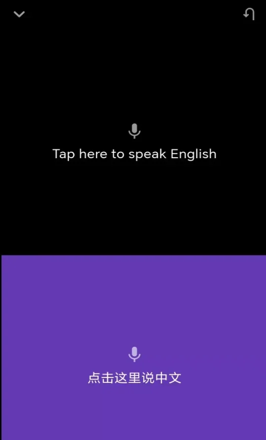 启达翻译器 截图 5