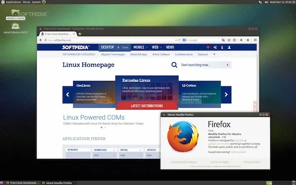 TenFourFox for mac 截图 2