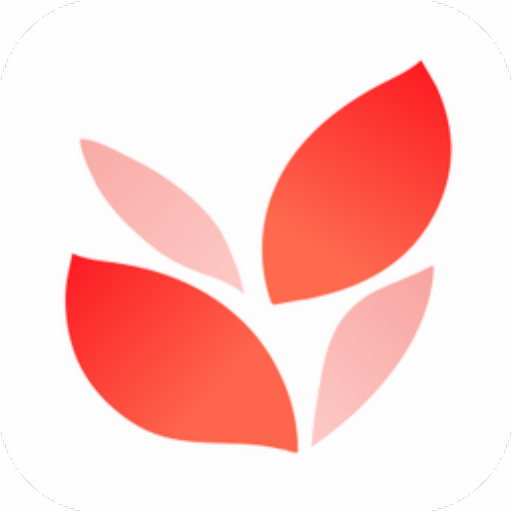 小满壁纸优化版绿色版v1.1.3