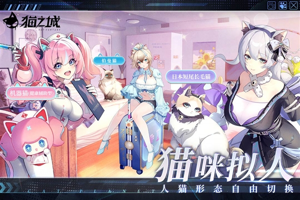 猫之城(内附兑换码)